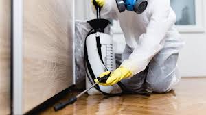 Best Pest Prevention Services  in Bright, IN